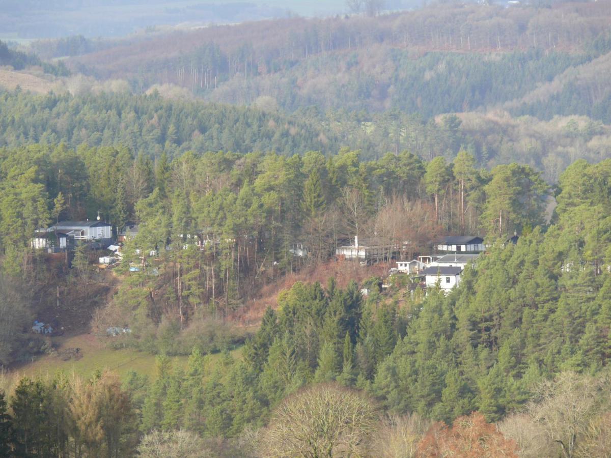 Ferienhaus Eifelpur Ahrdorf Esterno foto