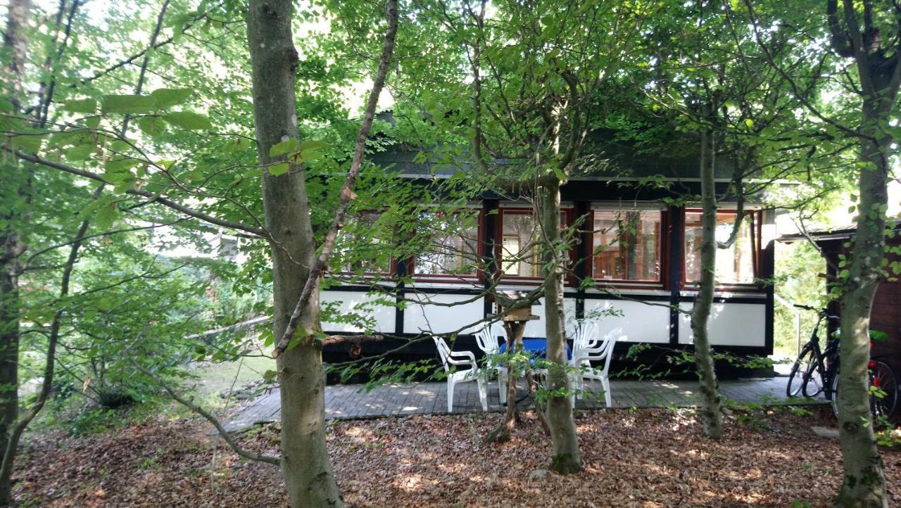 Ferienhaus Eifelpur Ahrdorf Esterno foto